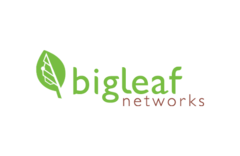 Bigleaf